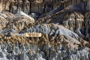 走进地质史诗:札达土林3