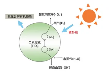 当细菌遭遇纳米材料2