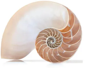 数学里的绘画大师——函数4