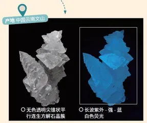 矿物荧光,不一样的“晶”彩5