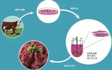 未来舌尖上的幸福1