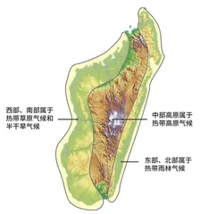 马达加斯加科考记(上)5
