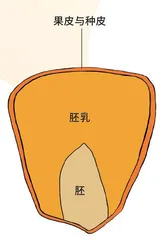 爆个米花1