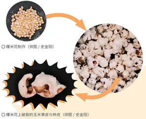 爆个米花3