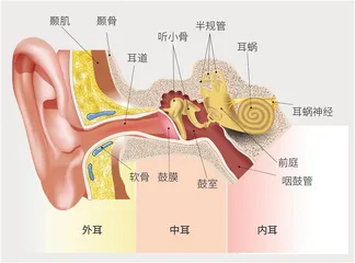太空中的人体挑战2