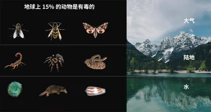 “以毒攻毒”的毒液力量5