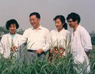 李振声:不辞辛苦究真理 惟愿小麦覆陇黄2