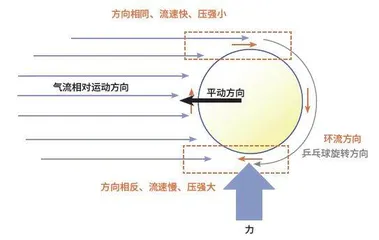 乒乓球打不好?先来学物理1