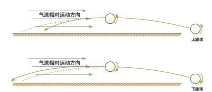 乒乓球打不好?先来学物理2