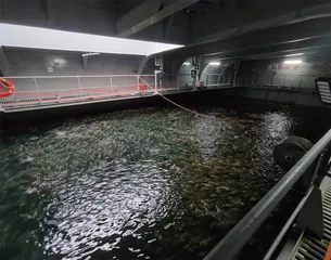 走进移动的“海洋牧场”:国信1号1