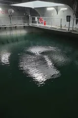 走进移动的“海洋牧场”:国信1号3