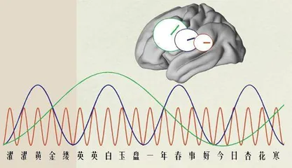 大脑神经有“古诗模式”?2