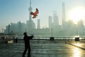 问策2022