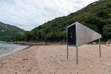 南丫说1