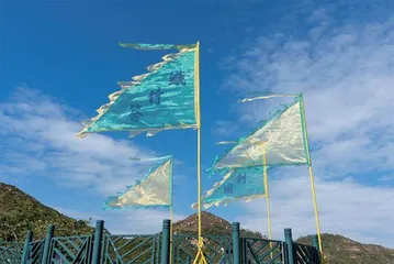 南丫说5