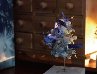 南丫说8