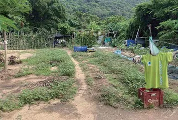 南丫说11
