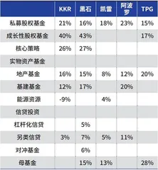KKR的另类成长路径(六)1