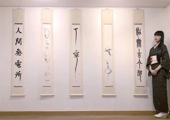 书道家万美3