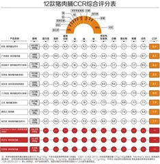 12款猪肉脯测评报告:哪一款营养、安全又好吃?5