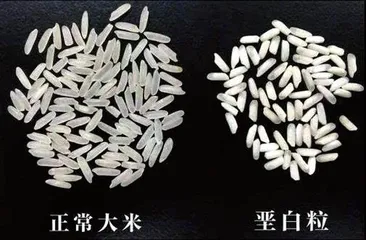掌握米袋上的“神秘代码”,你比菜市场大妈更会挑选大米7