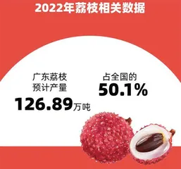 千姿百态的风土,富饶的广东风物1