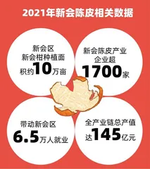 千姿百态的风土,富饶的广东风物3