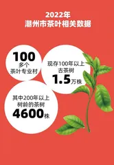千姿百态的风土,富饶的广东风物6