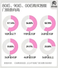 2024年智能门锁报告:年轻群体满意度过半;小米、华为挤入前五3