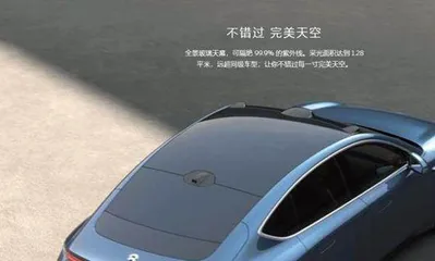 电车车主自我修养:在全景天幕下打伞,在隐藏式门把手面前无助4