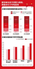 藏在县城年货里的新消费:下沉与升级齐飞,洋气与烟火气并存1