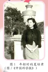 夏培肃：“中国计算机之母”