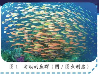 一条鱼比一群鱼更吵 等