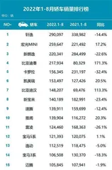 比亚迪汉表现最好,五菱宏光MINIEV结果出人意料!1