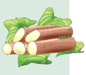 给山药剥皮手会痒吗