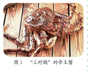 你吃的螃蟹是真的吗