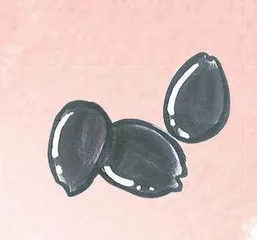 西瓜历险记