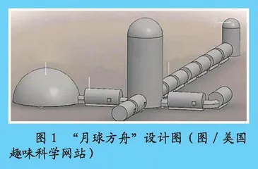 地球生物样本的“避难所”