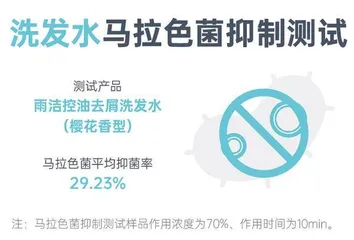 洗发水测评:哪款能同时兼顾去屑、控油、止痒、顺滑?1