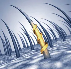 洗发水测评:哪款能同时兼顾去屑、控油、止痒、顺滑?5