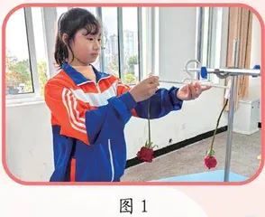 不同干燥方式对制作干花的影响