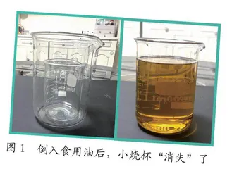 网传光学“隐身”方法效果探究