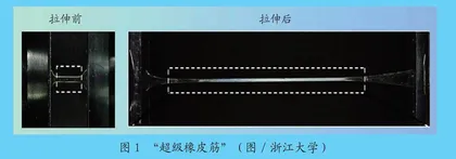 橡皮筋中的“大力士”