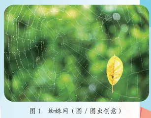“空中建筑师”的秘密