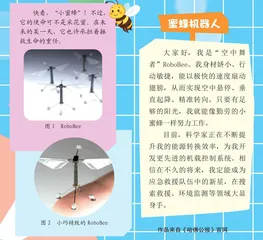 机器人“救援专家”