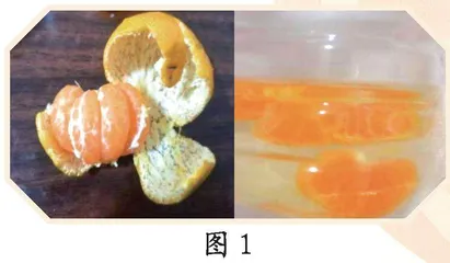 消失的“外衣”