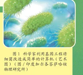 细菌“变身”微型计算机等