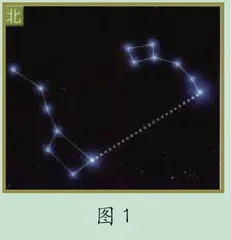 野外生存大闯关