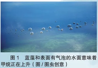 氧气从何而来
