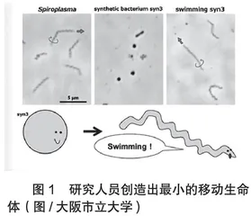 最小移动生命体